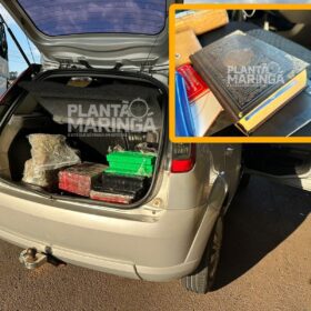 Pastor é preso pela PRF de Maringá transportando maconha e skank Foto 1 Fotos de Pastor é preso pela PRF de Maringá transportando maconha e skank