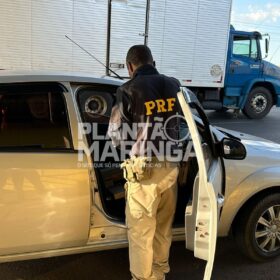 Pastor é preso pela PRF de Maringá transportando maconha e skank Foto 5 Fotos de Pastor é preso pela PRF de Maringá transportando maconha e skank