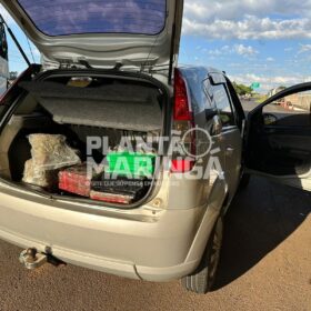 Pastor é preso pela PRF de Maringá transportando maconha e skank Foto 6 Fotos de Pastor é preso pela PRF de Maringá transportando maconha e skank