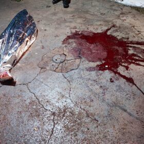 Câmera de segurança registra menino de 12 anos sendo executado com tiros na cabeça Foto 4 Fotos de Câmera de segurança registra menino de 12 anos sendo executado com tiros na cabeça