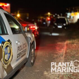 Criminoso morre após troca de tiros com a Guarda Civil Municipal de Sarandi Foto 10 Fotos de Criminoso morre após troca de tiros com a Guarda Civil Municipal de Sarandi
