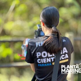 Homem é encontrado morto em córrego em Maringá Foto 9 Fotos de Homem é encontrado morto em córrego em Maringá