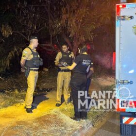 Mulher é executada com vários tiros em Sarandi Foto 11 Fotos de Mulher é executada com vários tiros em Sarandi