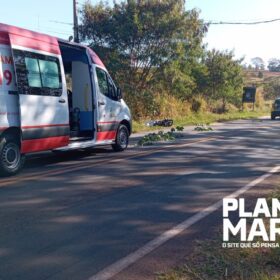 Maringaense é perseguido e executado com 7 tiros na cabeça enquanto pilotava moto, em Mandaguaçu Foto 7 Fotos de Maringaense é perseguido e executado com 7 tiros na cabeça enquanto pilotava moto, em Mandaguaçu