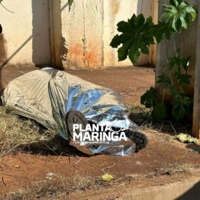 Motociclista morre depois de bater em carro e ser arremessado contra poste em Maringá Foto 13 Fotos de Motociclista morre depois de bater em carro e ser arremessado contra poste em Maringá
