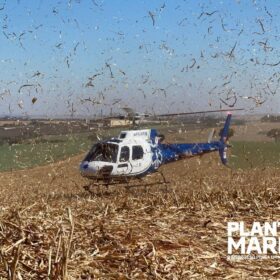 Mulher é socorrida de helicóptero após ser atropelada - câmera registrou o acidente Foto 4 Fotos de Mulher é socorrida de helicóptero após ser atropelada - câmera registrou o acidente