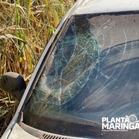 Mulher é socorrida de helicóptero após ser atropelada - câmera registrou o acidente Foto 6 Fotos de Mulher é socorrida de helicóptero após ser atropelada - câmera registrou o acidente