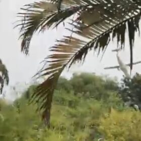 Avião com 62 pessoas a bordo que saiu de Cascavel cai em Vinhedo, no interior de SP; vídeo mostra queda Foto 4 Fotos de Avião com 62 pessoas a bordo que saiu de Cascavel cai em Vinhedo, no interior de SP; vídeo mostra queda