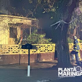 Duas casas são destruídas pelo fogo após morador trocar lâmpada em Maringá; VÍDEO Foto 3 Fotos de Duas casas são destruídas pelo fogo após morador trocar lâmpada em Maringá; VÍDEO