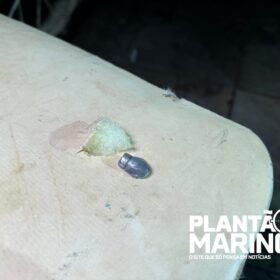 Homem é socorrido em estado grave após ser baleado em Sarandi Foto 9 Fotos de Homem é socorrido em estado grave após ser baleado em Sarandi