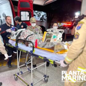 Idoso sofre parada cardiorrespiratória após ser atropelado em Sarandi e motorista foge sem prestar socorro Foto 8 Fotos de Idoso sofre parada cardiorrespiratória após ser atropelado em Sarandi e motorista foge sem prestar socorro