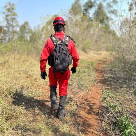 Menino de 2 anos perdido em mata a quase 36 horas em Cambira é encontrado Foto 3 Fotos de Menino de 2 anos perdido em mata a quase 36 horas em Cambira é encontrado