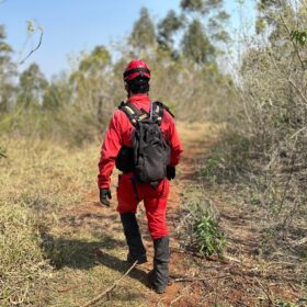 Menino de 2 anos perdido em mata a quase 36 horas em Cambira é encontrado Foto 2 Fotos de Menino de 2 anos perdido em mata a quase 36 horas em Cambira é encontrado
