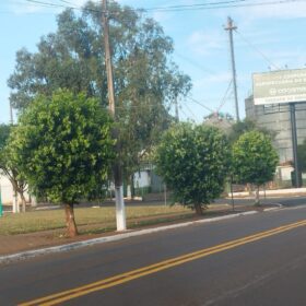 Fotos de Moradores denunciam prefeitura por corte de árvores em Ângulo para evento festivo