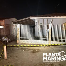 Fotos de Moradores denunciam prefeitura por corte de árvores em Ângulo para evento festivo