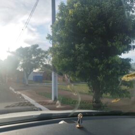 Fotos de Moradores denunciam prefeitura por corte de árvores em Ângulo para evento festivo