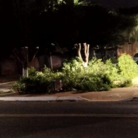 Fotos de Moradores denunciam prefeitura por corte de árvores em Ângulo para evento festivo