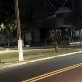 Fotos de Moradores denunciam prefeitura por corte de árvores em Ângulo para evento festivo