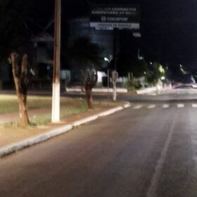 Fotos de Moradores denunciam prefeitura por corte de árvores em Ângulo para evento festivo