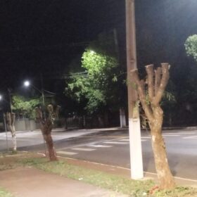 Fotos de Moradores denunciam prefeitura por corte de árvores em Ângulo para evento festivo