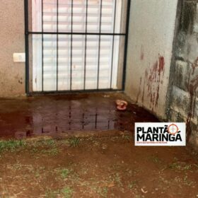 Adolescente esfaqueia padrasto para defender mãe grávida durante agressão Foto 2 Fotos de Adolescente esfaqueia padrasto para defender mãe grávida durante agressão