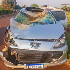 Colisão com cavalo em rua de Sarandi deixa duas pessoas feridas e animal morto Foto 3 Fotos de Colisão com cavalo em rua de Sarandi deixa duas pessoas feridas e animal morto