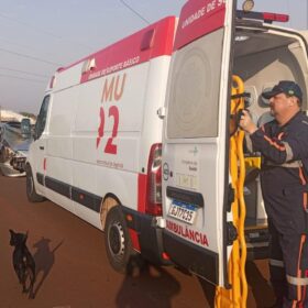 Colisão com cavalo em rua de Sarandi deixa duas pessoas feridas e animal morto Foto 1 Fotos de Colisão com cavalo em rua de Sarandi deixa duas pessoas feridas e animal morto