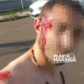 Motociclista mata filhote de pitbull a pauladas após acidente em Maringá Foto 2 Fotos de Motociclista mata filhote de pitbull a pauladas após acidente em Maringá