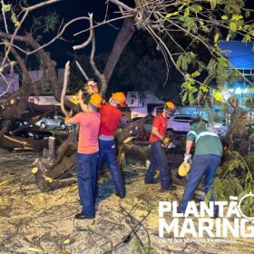 Mulher em moto é socorrida com traumatismo craniano após queda de árvore em Maringá, outros cinco carros foram atingidos Foto 12 Fotos de Mulher em moto é socorrida com traumatismo craniano após queda de árvore em Maringá, outros cinco carros foram atingidos