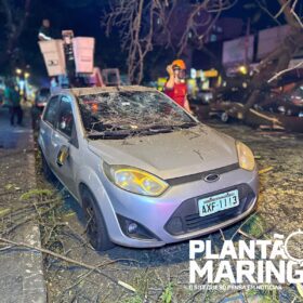 Mulher em moto é socorrida com traumatismo craniano após queda de árvore em Maringá, outros cinco carros foram atingidos Foto 14 Fotos de Mulher em moto é socorrida com traumatismo craniano após queda de árvore em Maringá, outros cinco carros foram atingidos