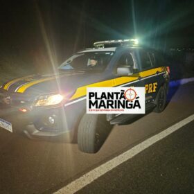 Pedestre morre após ser atropelado por caminhonete na BR-376 Foto 6 Fotos de Pedestre morre após ser atropelado por caminhonete na BR-376