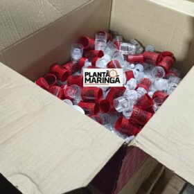 Policia Militar fecha fábrica que falsificava Whiskey e vodka em Maringá Foto 6 Fotos de Policia Militar fecha fábrica que falsificava Whiskey e vodka em Maringá