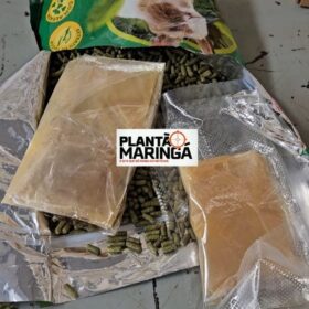 Traficante é preso com super “meleca de maconha” em Maringá Foto 6 Fotos de Traficante é preso com super “meleca de maconha” em Maringá