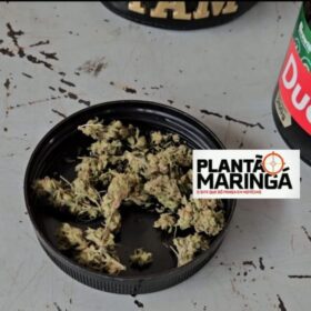 Traficante é preso com super “meleca de maconha” em Maringá Foto 4 Fotos de Traficante é preso com super “meleca de maconha” em Maringá