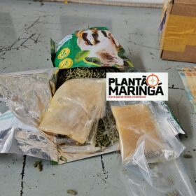 Traficante é preso com super “meleca de maconha” em Maringá Foto 1 Fotos de Traficante é preso com super “meleca de maconha” em Maringá