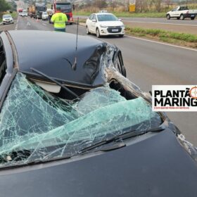 Carro fica destruído após colisão com caminhão entre Iguatemi e Maringá Foto 1 Fotos de Carro fica destruído após colisão com caminhão entre Iguatemi e Maringá