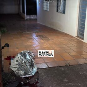 Briga entre vizinhos supostamente por causa de gato termina em morte em Maringá Foto 3 Fotos de Briga entre vizinhos supostamente por causa de gato termina em morte em Maringá