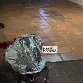 Briga entre vizinhos supostamente por causa de gato termina em morte em Maringá Foto 1 Fotos de Briga entre vizinhos supostamente por causa de gato termina em morte em Maringá