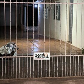 Briga entre vizinhos supostamente por causa de gato termina em morte em Maringá Foto 4 Fotos de Briga entre vizinhos supostamente por causa de gato termina em morte em Maringá