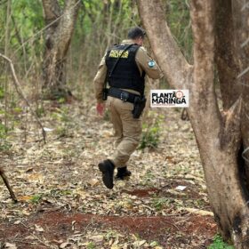 Fotos de Cadáver em estado de decomposição é achado seminu em Maringá