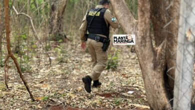 Fotos de Cadáver em estado de decomposição é achado seminu em Maringá