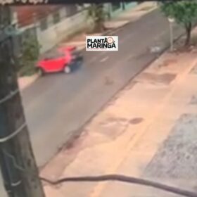 Câmera registra motorista embriagado batendo em árvore em Maringá Foto 1 Fotos de Câmera registra motorista embriagado batendo em árvore em Maringá