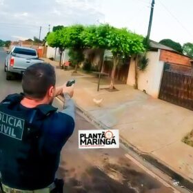 DENARC de Maringá realiza operação contra traficantes na manhã desta terça-feira Foto 5 Fotos de DENARC de Maringá realiza operação contra traficantes na manhã desta terça-feira
