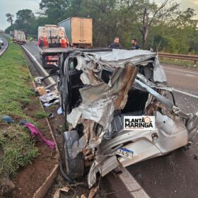 Duas pessoas sofrem ferimentos graves após acidente no contorno de Marialva Foto 9 Fotos de Duas pessoas sofrem ferimentos graves após acidente no contorno de Marialva