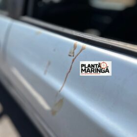 Homem é levado para hospital após ser esfaqueado em Maringá Foto 5 Fotos de Homem é levado para hospital após ser esfaqueado em Maringá