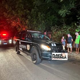 Homem é morto em discussão com vizinho por causa de gatos em Maringá Foto 2 Fotos de Homem é morto em discussão com vizinho por causa de gatos em Maringá