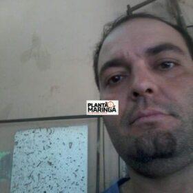 Homem é morto em discussão com vizinho por causa de gatos em Maringá Foto 6 Fotos de Homem é morto em discussão com vizinho por causa de gatos em Maringá