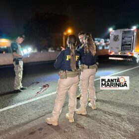 "Jovem que morreu em acidente no Contorno Norte é identificado no IML de Maringá Foto 4 Fotos de "Jovem que morreu em acidente no Contorno Norte é identificado no IML de Maringá