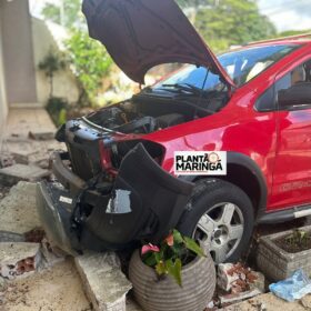 Câmera registra motorista embriagado batendo em árvore em Maringá Foto 11 Fotos de Câmera registra motorista embriagado batendo em árvore em Maringá