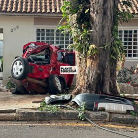 Câmera registra motorista embriagado batendo em árvore em Maringá Foto 5 Fotos de Câmera registra motorista embriagado batendo em árvore em Maringá